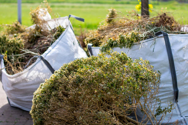 Best Junk Removal Near Me  in Taylors Falls, MN